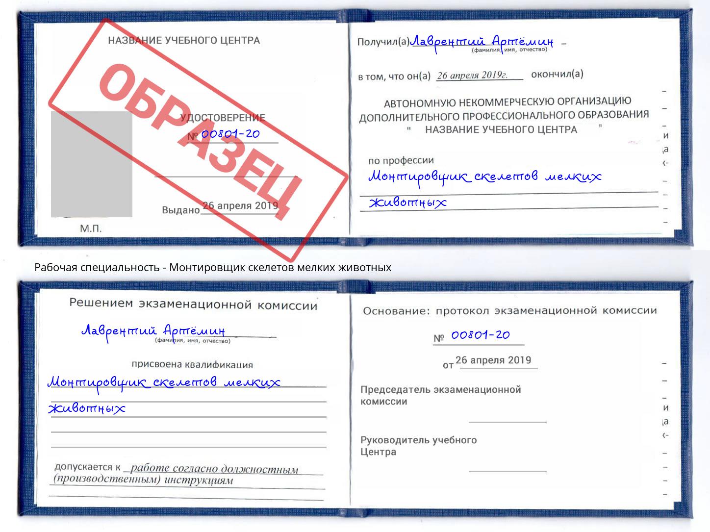 Монтировщик скелетов мелких животных Железнодорожный