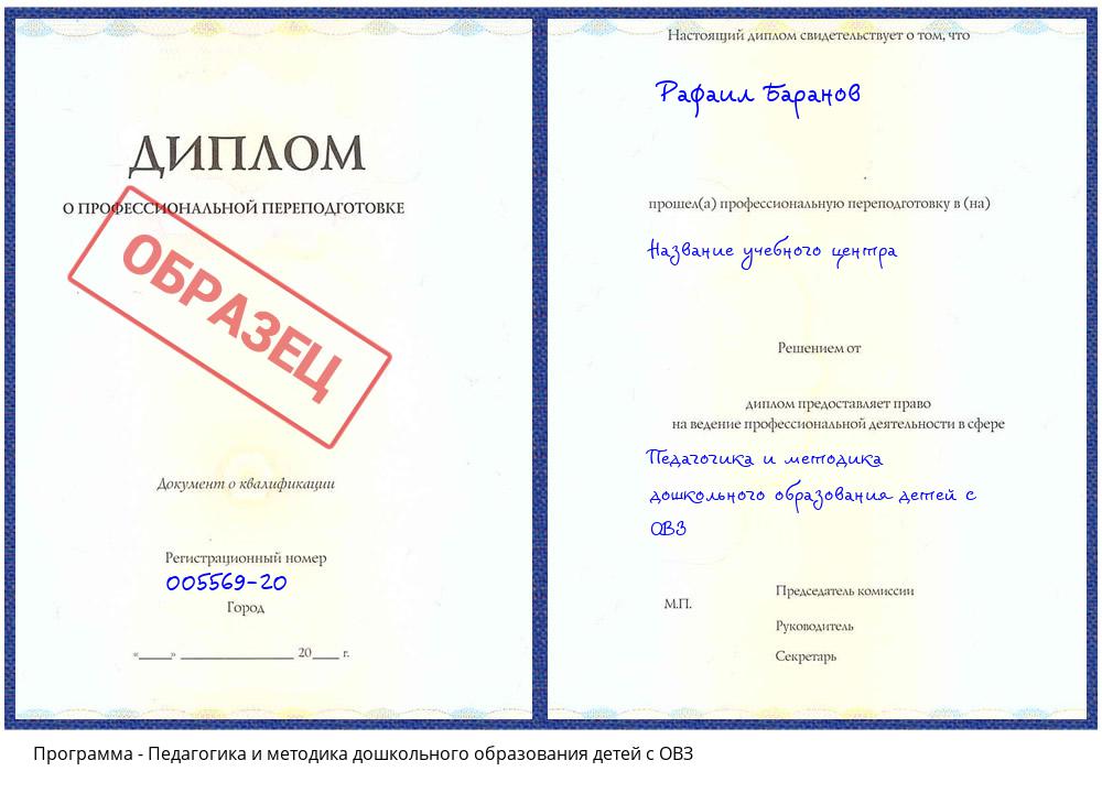 Педагогика и методика дошкольного образования детей с ОВЗ Железнодорожный