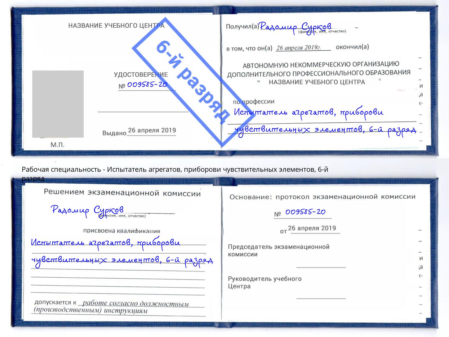 корочка 6-й разряд Испытатель агрегатов, приборови чувствительных элементов Железнодорожный