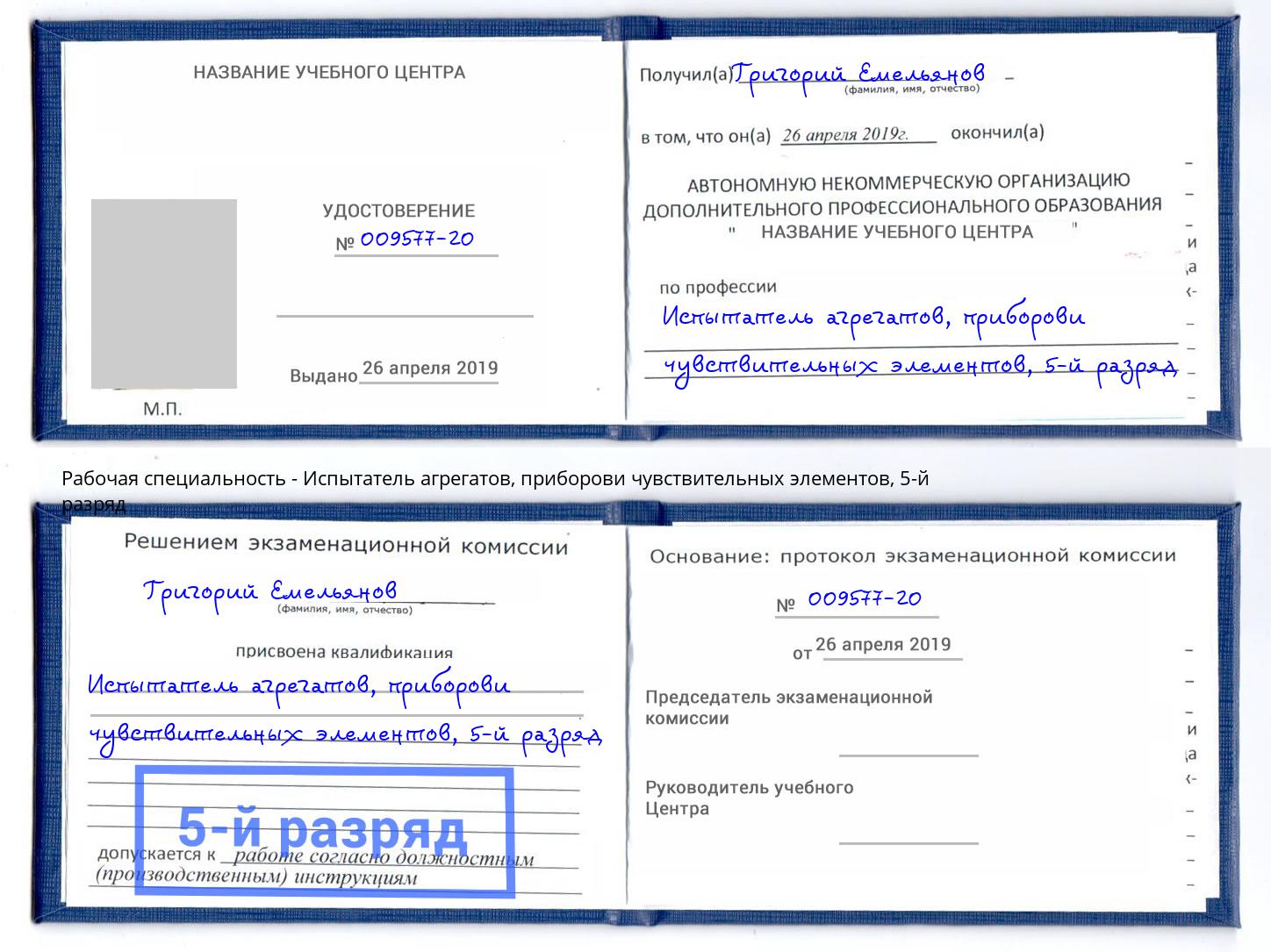 корочка 5-й разряд Испытатель агрегатов, приборови чувствительных элементов Железнодорожный