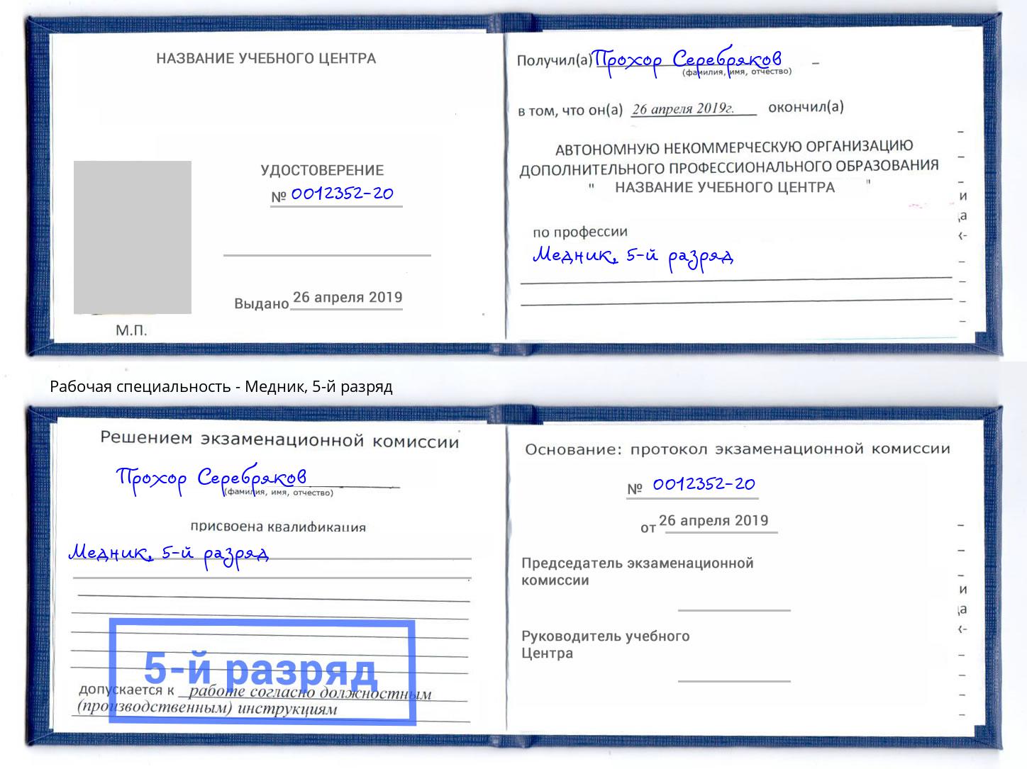 корочка 5-й разряд Медник Железнодорожный